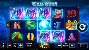 play-free-slots-online-250 free spins slotomania